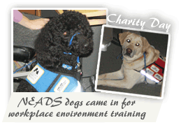 NEADS Dogs in for charity day - SoftArtisans believes in giving back to the community and getting involved together. 